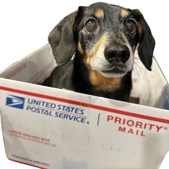 Extra Shipping Label for LIVES - Picture 1 of 1